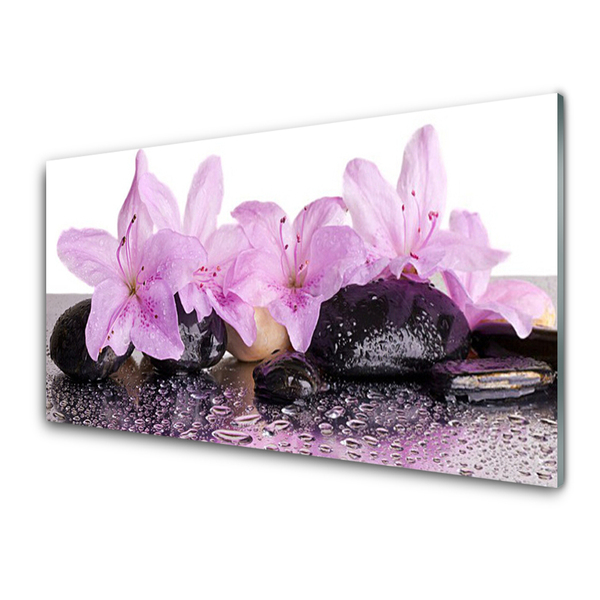 Quadro vetro Fiori Ninfea Rosa Acqua