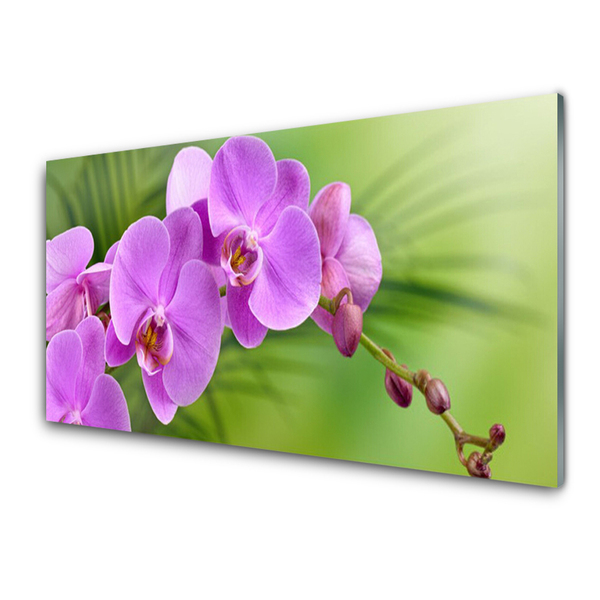 Quadro in vetro Orchidea Fiori di orchidea