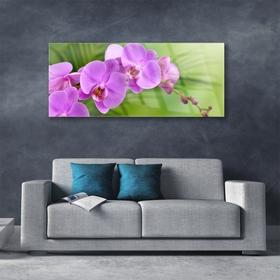 Quadro in vetro Orchidea Fiori di orchidea