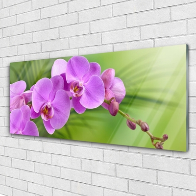 Quadro in vetro Orchidea Fiori di orchidea