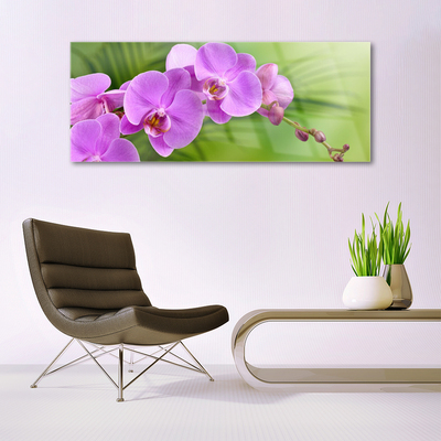 Quadro in vetro Orchidea Fiori di orchidea