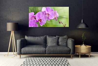 Quadro in vetro Orchidea Fiori di orchidea