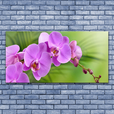 Quadro in vetro Orchidea Fiori di orchidea