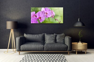 Quadro in vetro Orchidea Fiori di orchidea