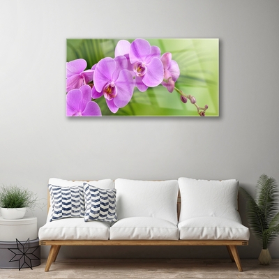 Quadro in vetro Orchidea Fiori di orchidea