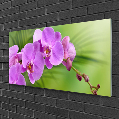 Quadro in vetro Orchidea Fiori di orchidea