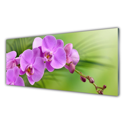 Quadro in vetro Orchidea Fiori di orchidea