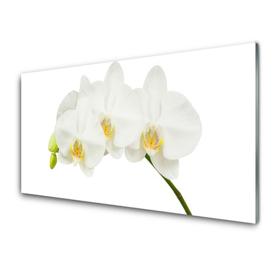 Quadro in vetro Steli di fiori di orchidea Natura