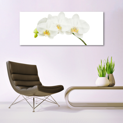 Quadro in vetro Steli di fiori di orchidea Natura