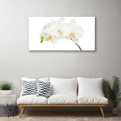 Quadro in vetro Steli di fiori di orchidea Natura