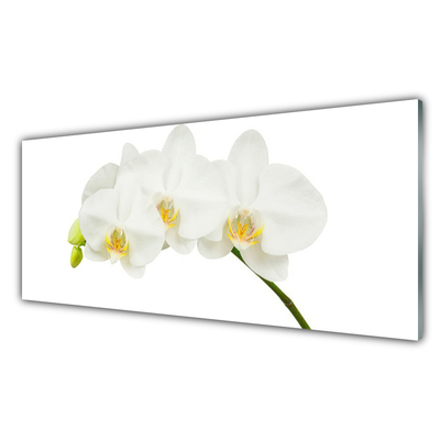 Quadro in vetro Steli di fiori di orchidea Natura