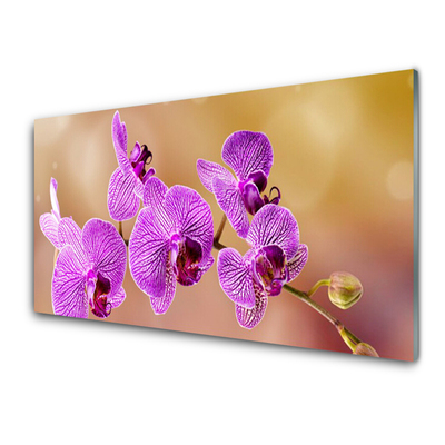 Quadro su vetro Steli di fiori di orchidea Natura