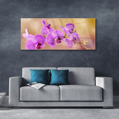 Quadro su vetro Steli di fiori di orchidea Natura