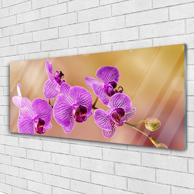 Quadro su vetro Steli di fiori di orchidea Natura