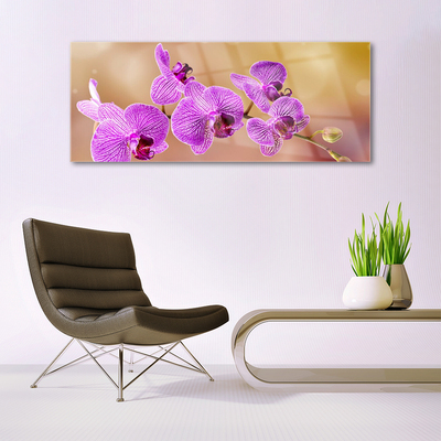 Quadro su vetro Steli di fiori di orchidea Natura