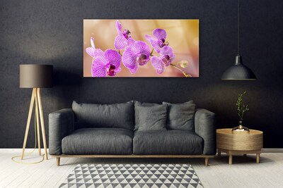 Quadro su vetro Steli di fiori di orchidea Natura