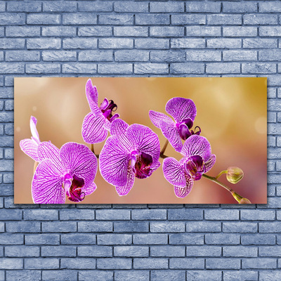 Quadro su vetro Steli di fiori di orchidea Natura