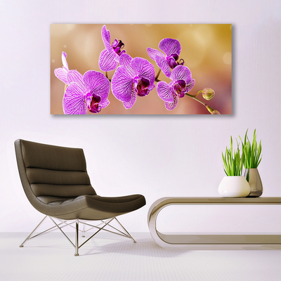 Quadro su vetro Steli di fiori di orchidea Natura