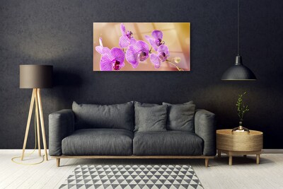 Quadro su vetro Steli di fiori di orchidea Natura