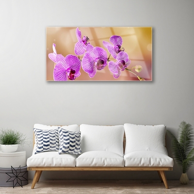 Quadro su vetro Steli di fiori di orchidea Natura