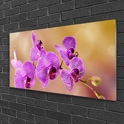 Quadro su vetro Steli di fiori di orchidea Natura