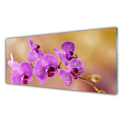 Quadro su vetro Steli di fiori di orchidea Natura