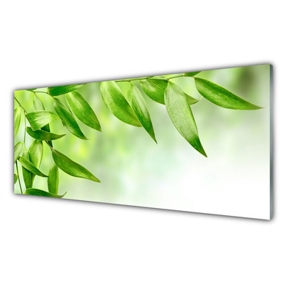 Quadro in vetro Foglia verde Natura