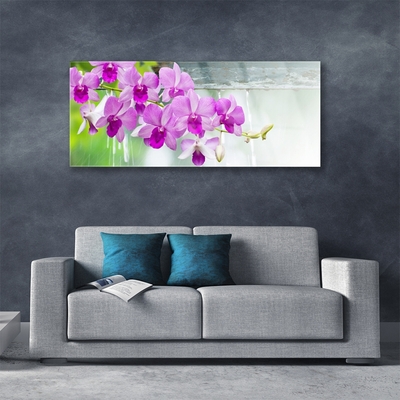 Quadro in vetro Orchidee gocce di natura