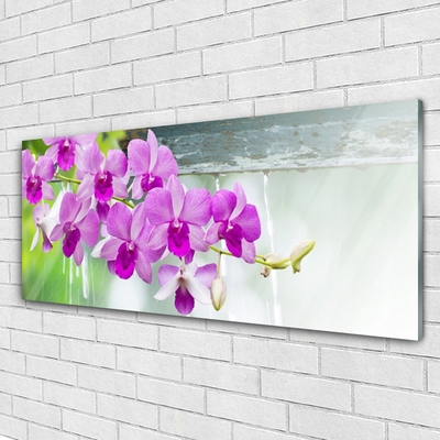 Quadro in vetro Orchidee gocce di natura