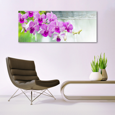 Quadro in vetro Orchidee gocce di natura