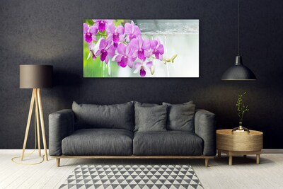 Quadro in vetro Orchidee gocce di natura