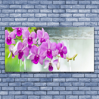 Quadro in vetro Orchidee gocce di natura