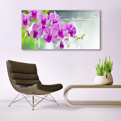 Quadro in vetro Orchidee gocce di natura