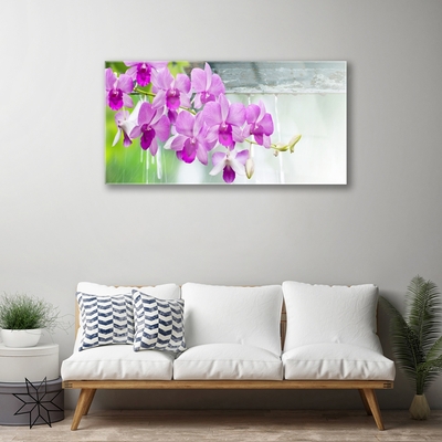 Quadro in vetro Orchidee gocce di natura