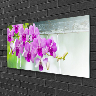 Quadro in vetro Orchidee gocce di natura