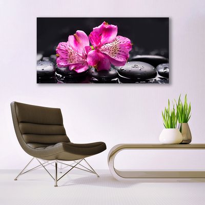 Quadro in vetro Fiori pietre Zen Spa