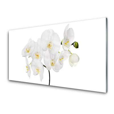 Quadro in vetro Fiori di orchidea bianchi