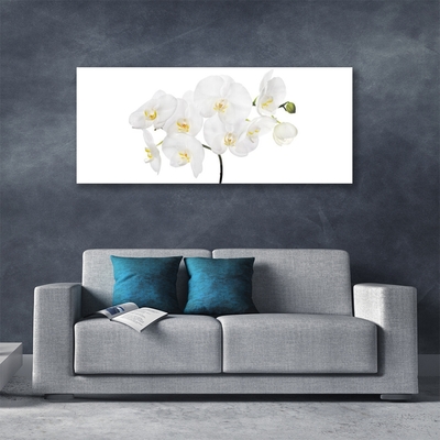 Quadro in vetro Fiori di orchidea bianchi