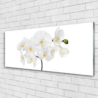 Quadro in vetro Fiori di orchidea bianchi