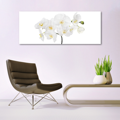 Quadro in vetro Fiori di orchidea bianchi