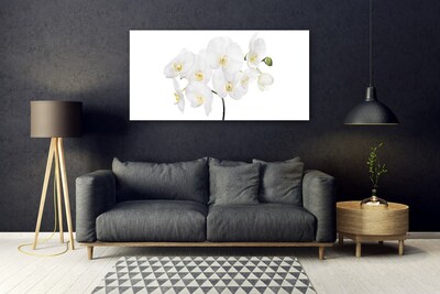 Quadro in vetro Fiori di orchidea bianchi