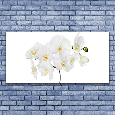 Quadro in vetro Fiori di orchidea bianchi