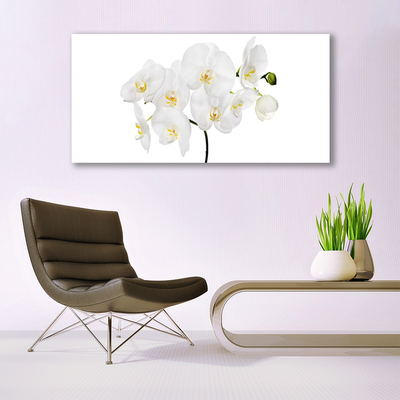 Quadro in vetro Fiori di orchidea bianchi