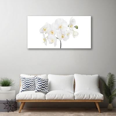 Quadro in vetro Fiori di orchidea bianchi