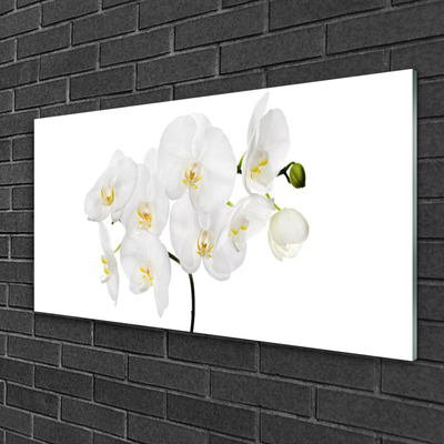 Quadro in vetro Fiori di orchidea bianchi