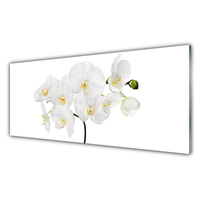 Quadro in vetro Fiori di orchidea bianchi