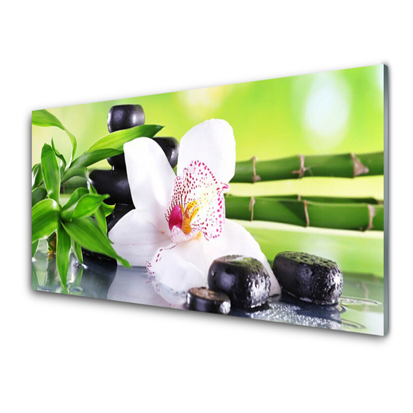 Quadro in vetro Foglie di bambù orchidea