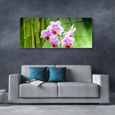 Quadro in vetro Orchidea di bambù Fiori Zen