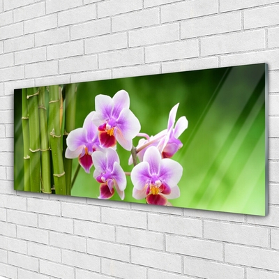 Quadro in vetro Orchidea di bambù Fiori Zen