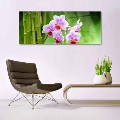 Quadro in vetro Orchidea di bambù Fiori Zen